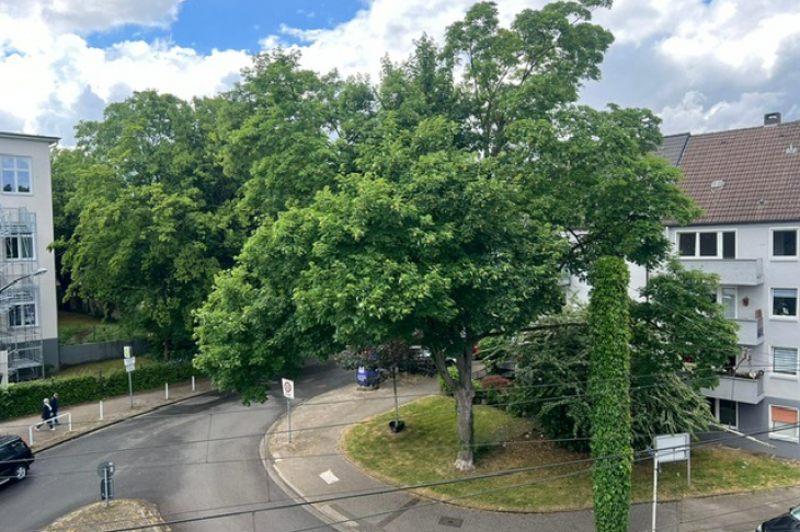 Ausblick