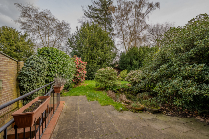 Ausblick in den Garten
