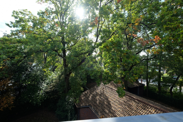 Ausblick vom Balkon
