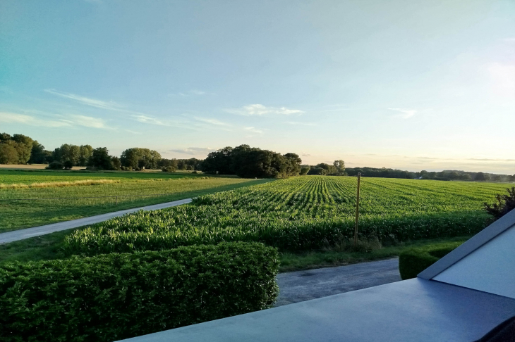 Ausblick vom Balkon