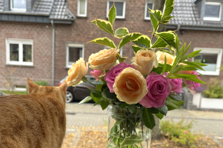 Ausblick zur Spielstraße