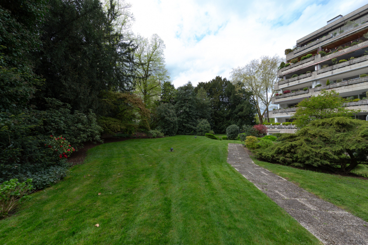 Außenanlage hinter dem Haus