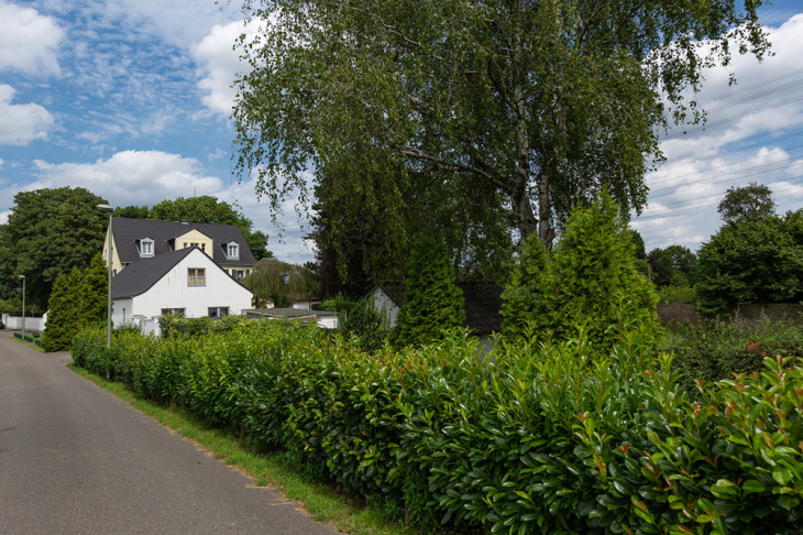 Außenansicht Zuwegung