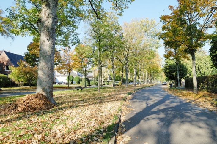 Bestlage am Stadtwald