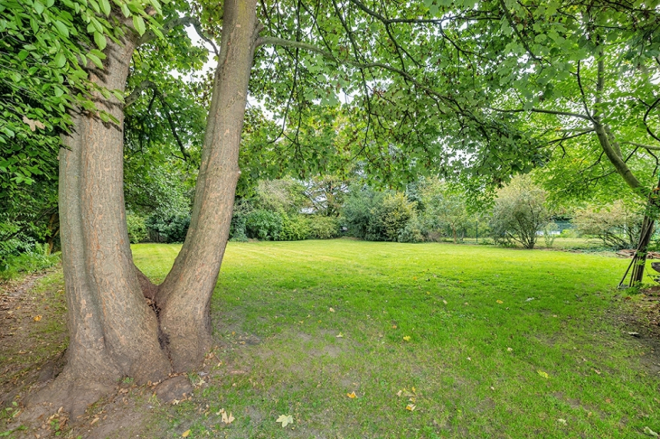 Blick auf das eingewachsene Grundstück