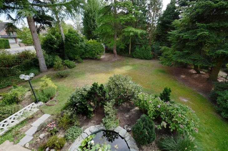 Blick auf das Gartengrundstück