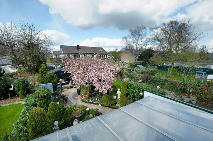 Blick auf das Gartengrundstück