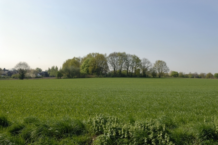 Blick auf Nachbarsfelder