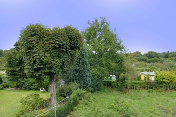 Blick aus dem Fenster