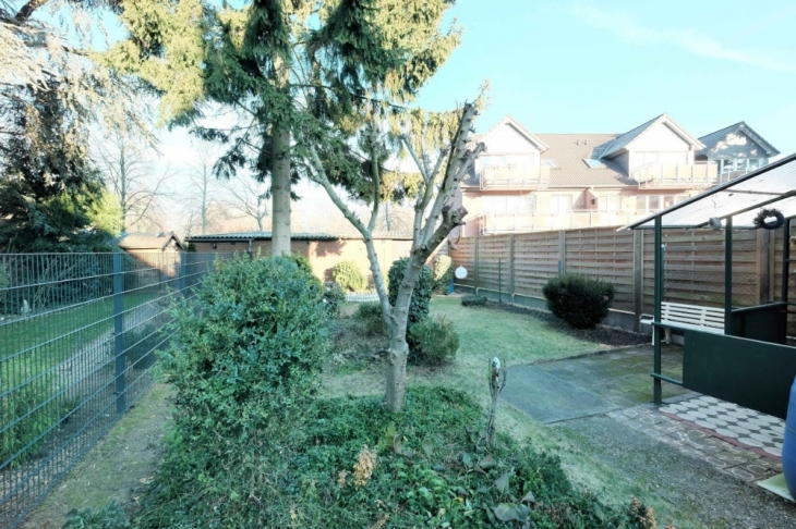 Blick in den Garten