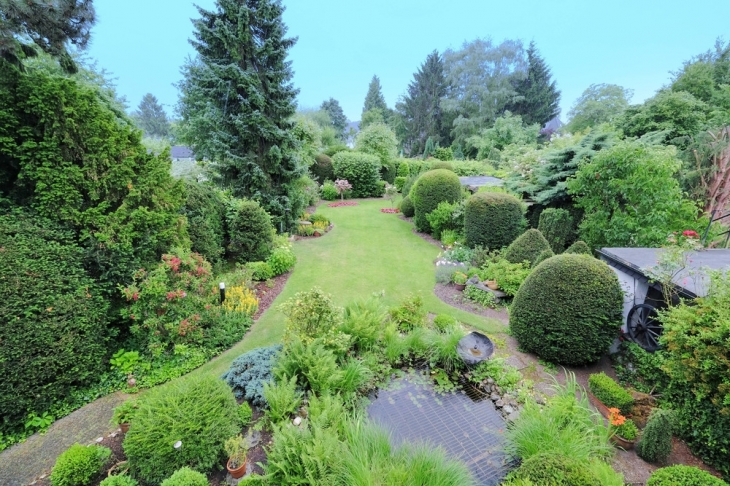 Blick in den Garten