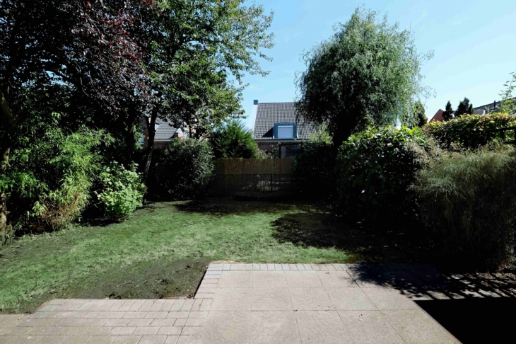 Blick in den Garten