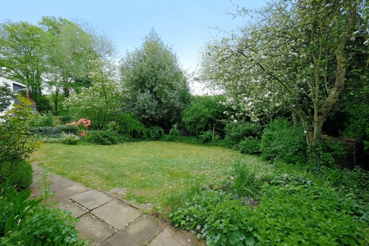 Blick in den Garten