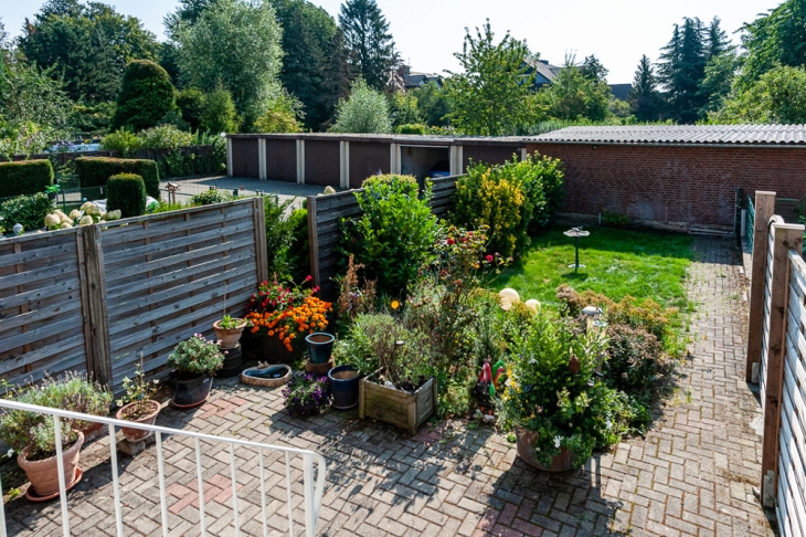 Blick in den Garten