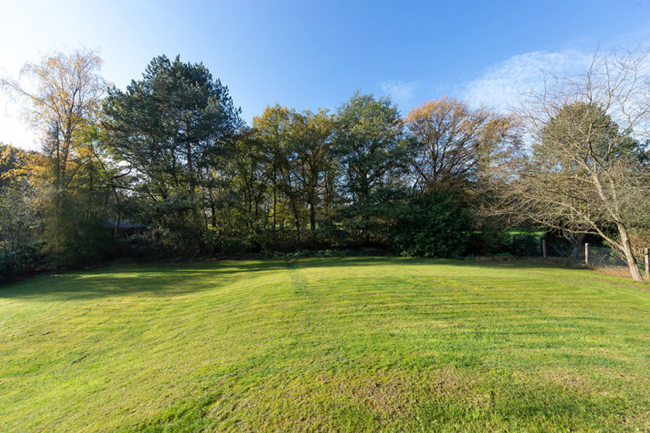 Blick in den Garten