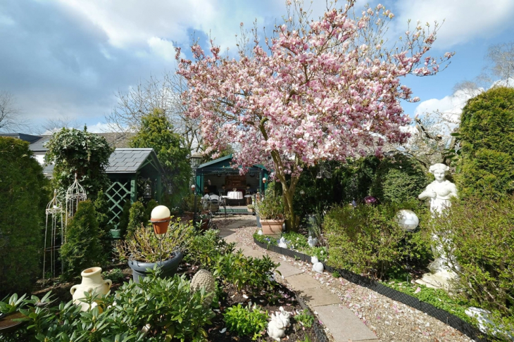 Blick in den Garten