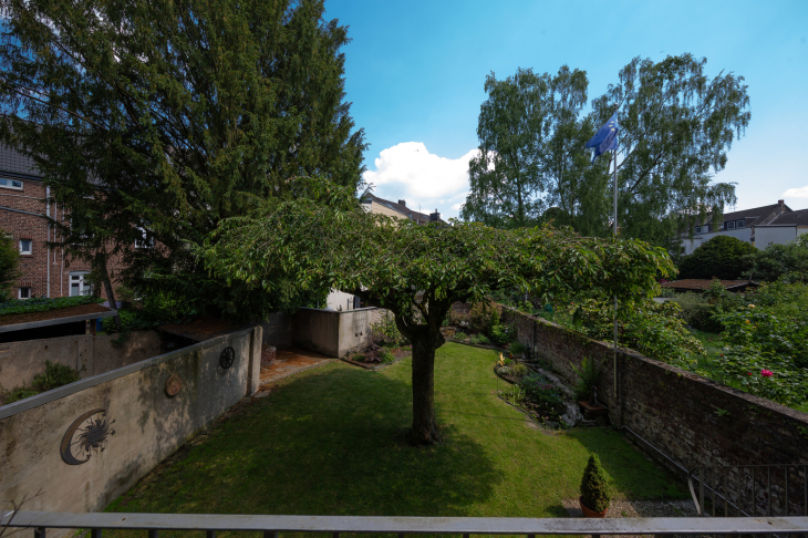 Blick in den Garten
