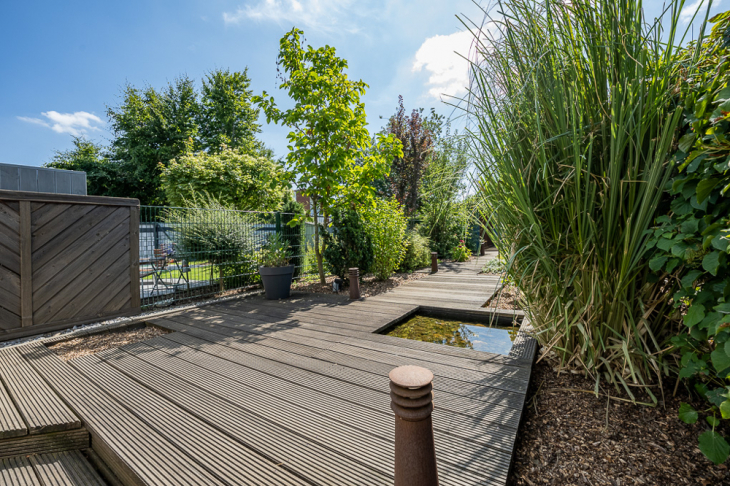 Blick in den Garten