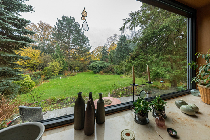 Blick in den Garten