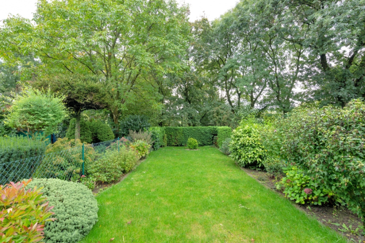 Blick in den Garten