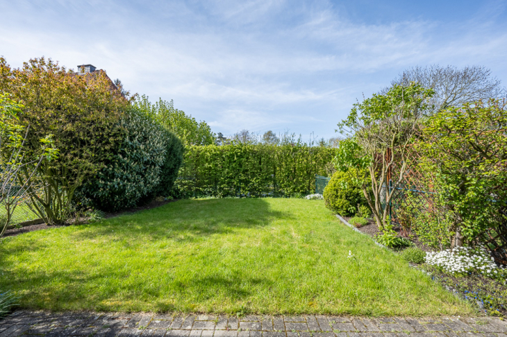 Blick in den Garten