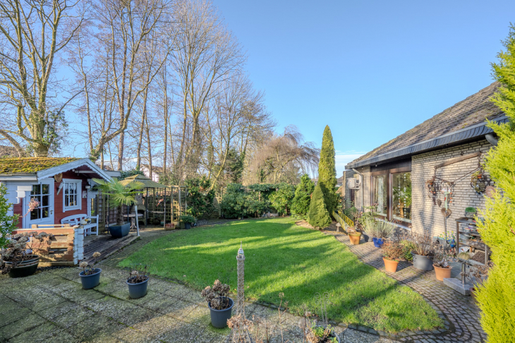 Blick in den Garten