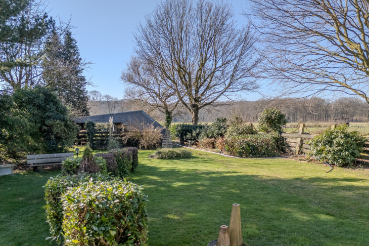 Blick in den Garten