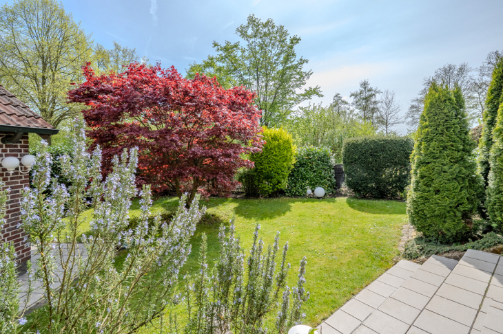 Blick in den Garten