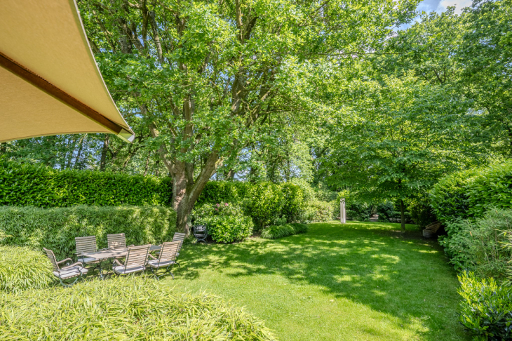 Blick in den Garten
