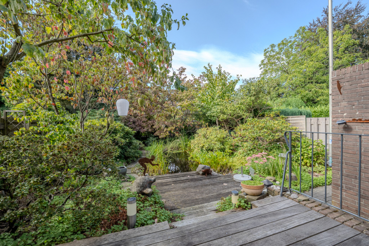 Blick in den Garten