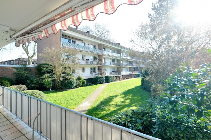 Blick in Garten