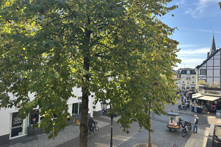 Blick Loggia
