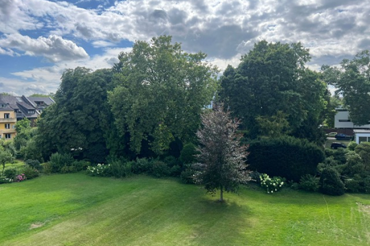 Blick vom Balkon
