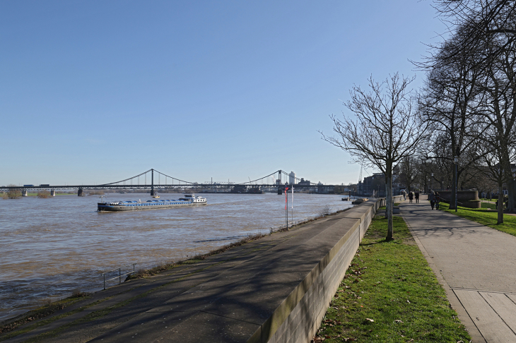 Blick vom Rheindeich