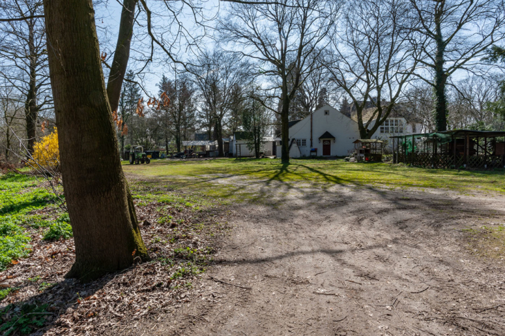Blick vom Waldgrundstück