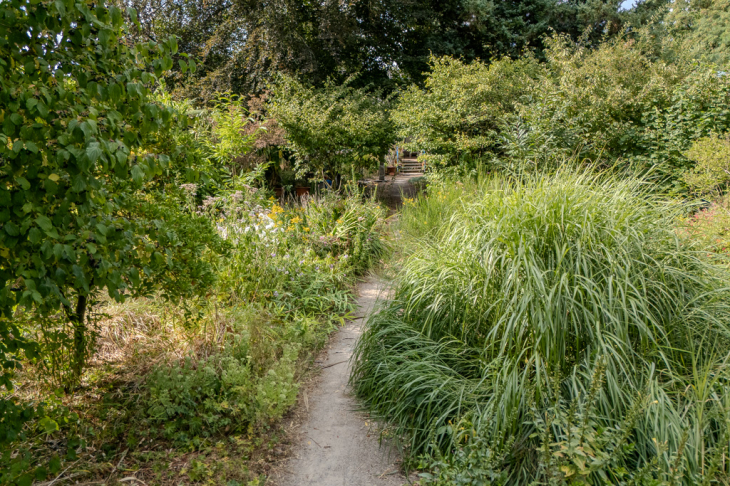 ...durch den Garten