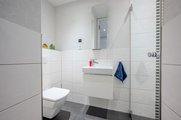  Gäste-Bad mit Dusche