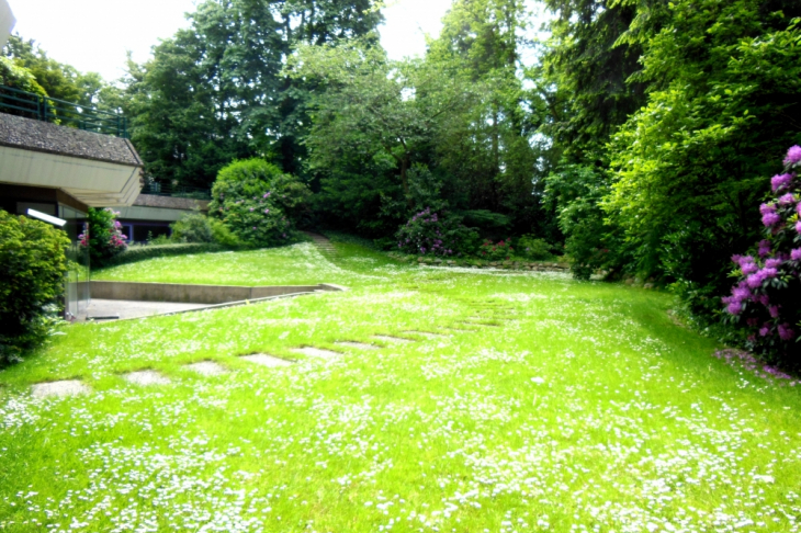 Gartenansicht