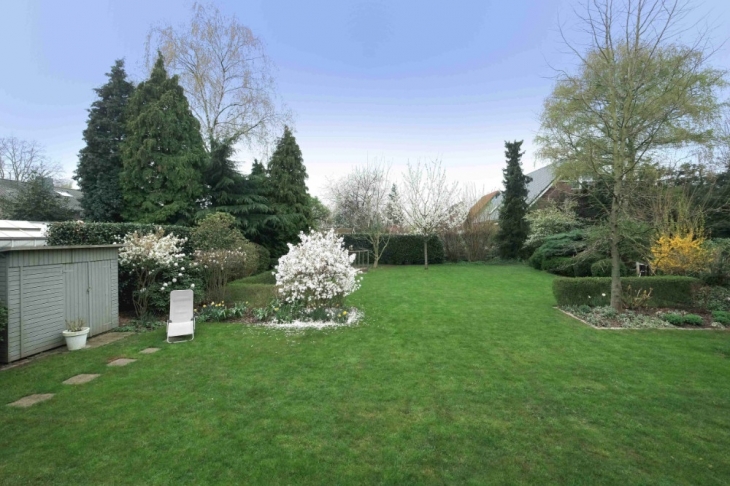 Gesamtansicht Garten