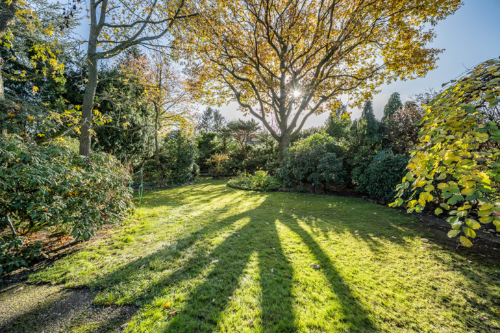 Großer Garten in Südlage
