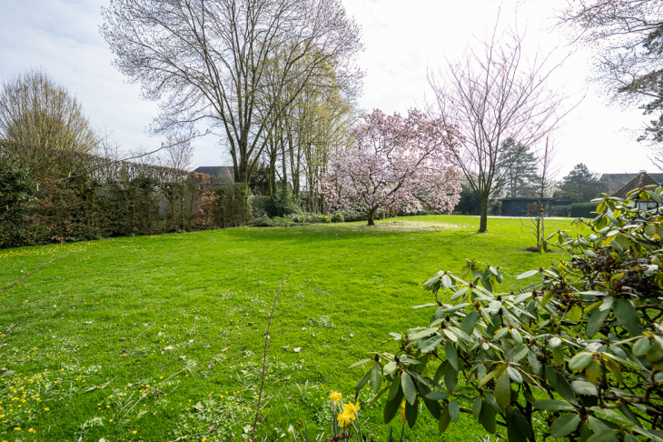 Großer Garten in Südlage