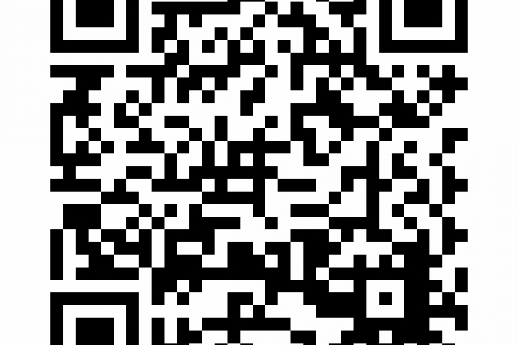 https://www.schreurs-immobilien.de/kaufen/haeuser/4064/willich-neersen.html