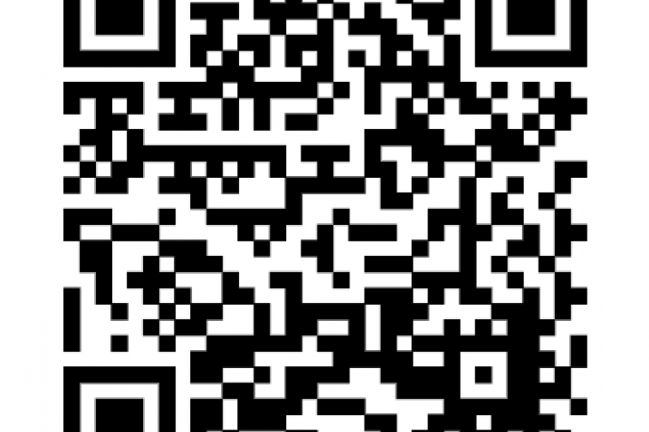 https://www.schreurs-immobilien.de/kaufen/haeuser/4699/krefeld-huels.html