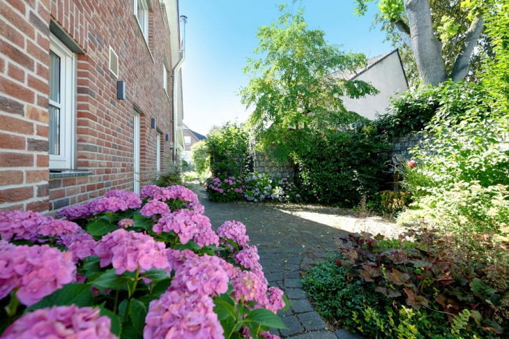 Impressionen Garten