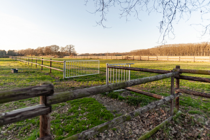 Koppel für Tierhaltung
