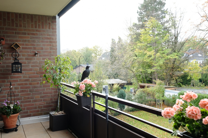 Loggia