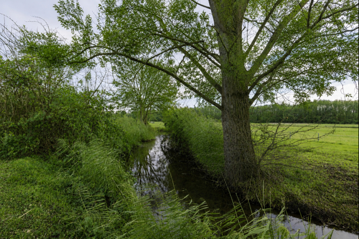 Naturschutzgebiet Angerbachauen