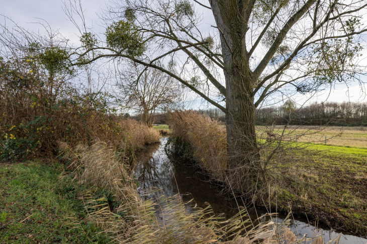 Naturschutzgebiet Angerbachauen