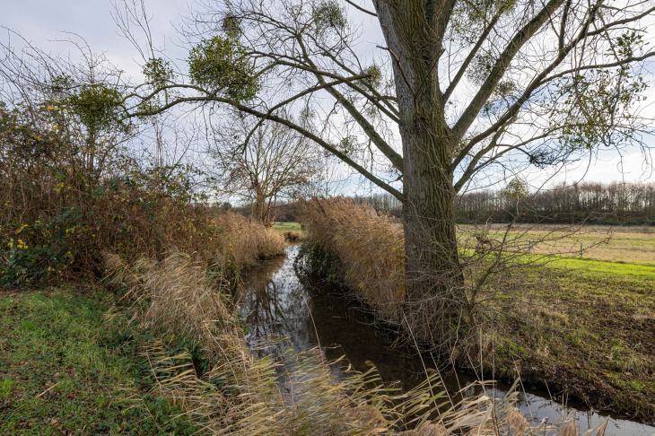 Naturschutzgebiet Angerbachauen