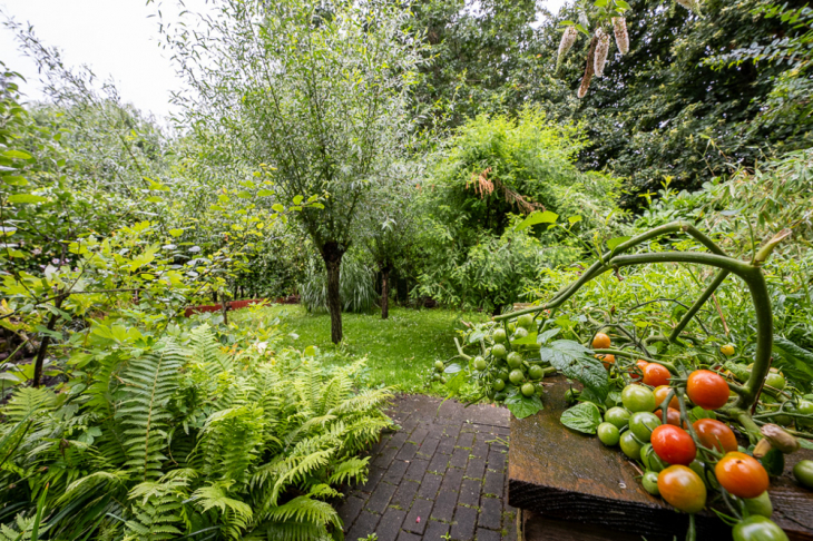 Nutzgarten